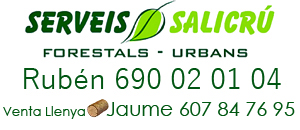 Serveis Salicru